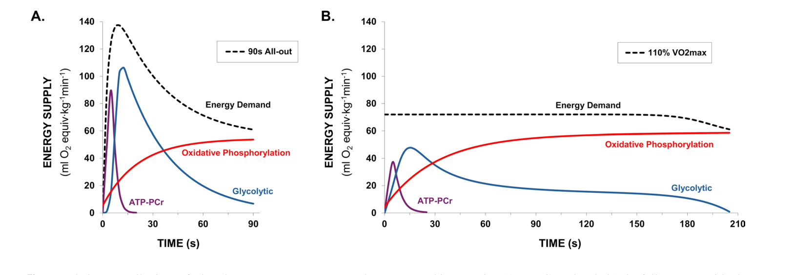 Two graphs of energy supply over time. From the very first second, three curves rise together: ATP-PCr (purple) peaking then falling back within about fifteen seconds, glycolytic (blue) rising, peaking then declining, and oxidative phosphorylation (red) rising gradually and levelling off. The sum follows the energy demand (dashed).